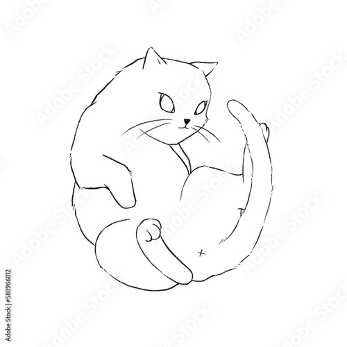 Cartoon line drawing of cat lay on its back. © fayfena