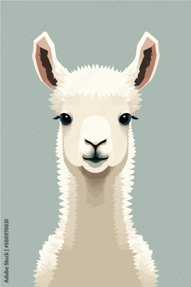 Obraz premium vector llama portrait