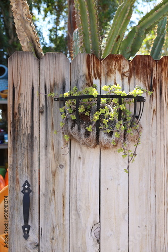 succulent basket on door