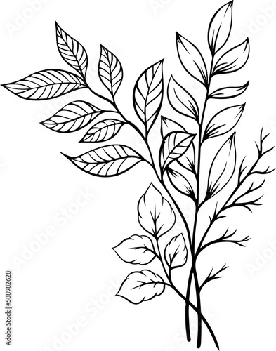 botanical leaf arrangement outline © MchDesignFactory