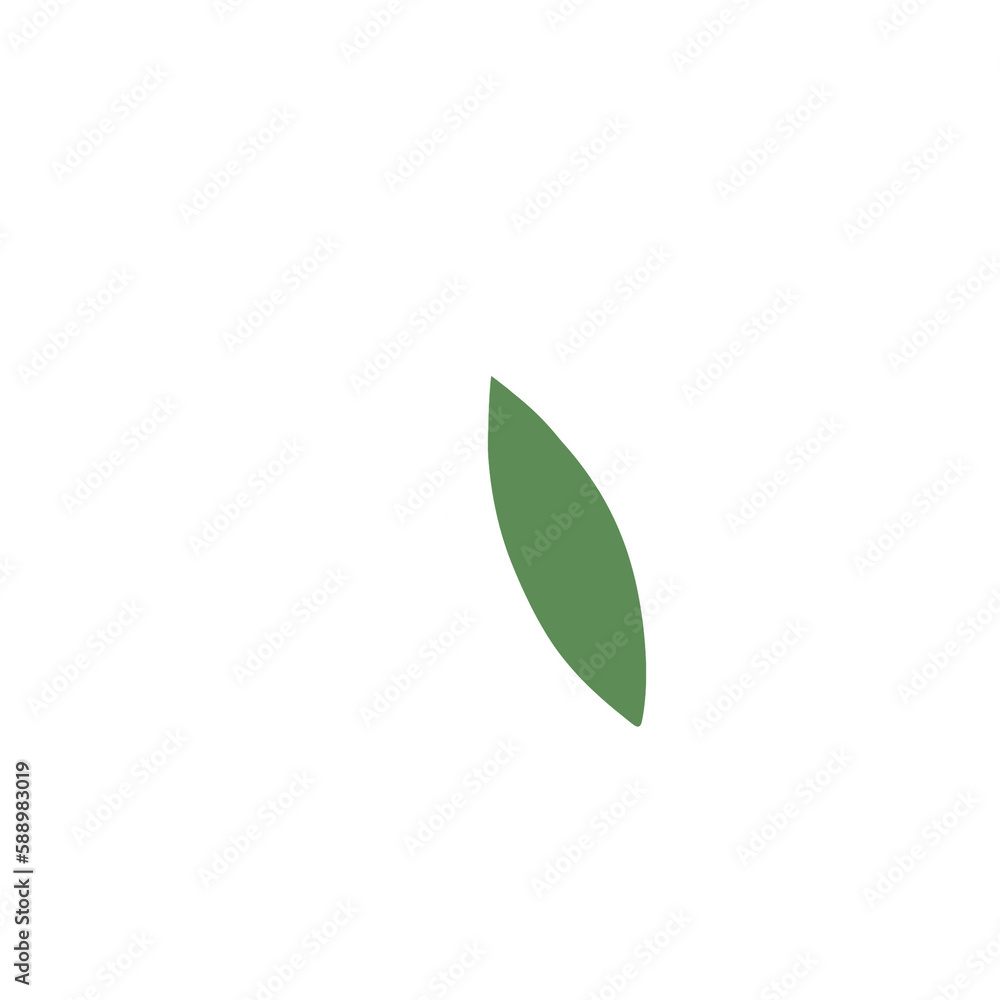 Floral Illustration Floral Illustration