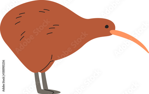 Staying Kiwi Bird