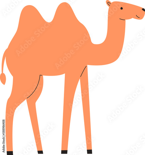 Camel Animal Staying