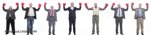 collage of businessmen in boxing gloves isolated