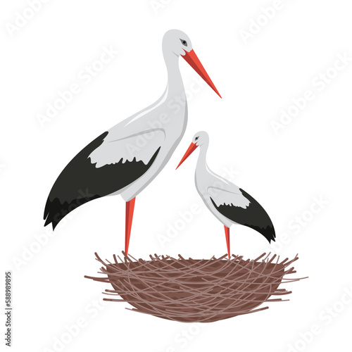 pair of storks in the nest 