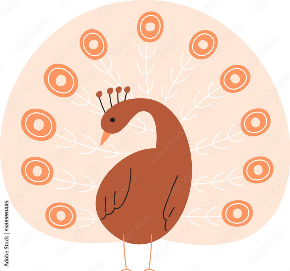 Peacock Bird Staying Peacock Bird Staying