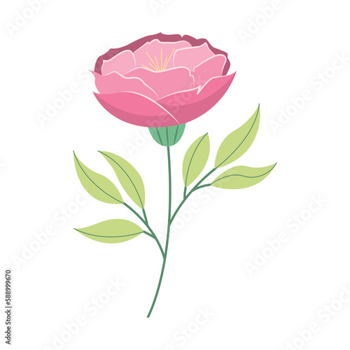 Flat hand drawn pink rose flower illustration isolated on white background