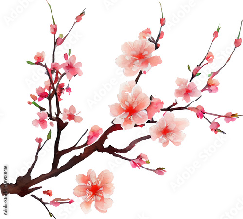 Cherry Blossom Flowers Watercolor. Generative AI © ABC Vector