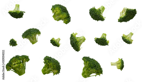 Set of green broccoli pattern