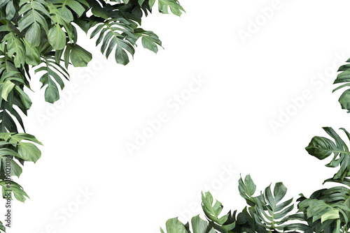 square frame surrounded by monstera leaves with copy space.
