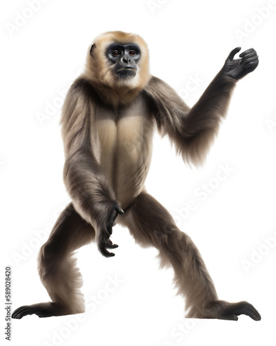 Beautiful Brown Gibbon Monkey  Standing Portrait. Generative AI