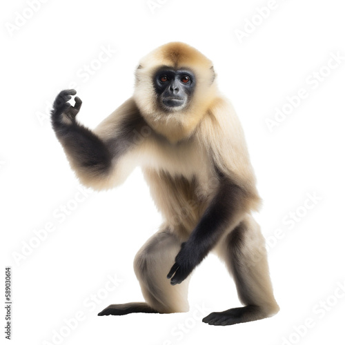Elegant Standing White Gibbon Monkey, Front View. Generative AI © PNG-Universe