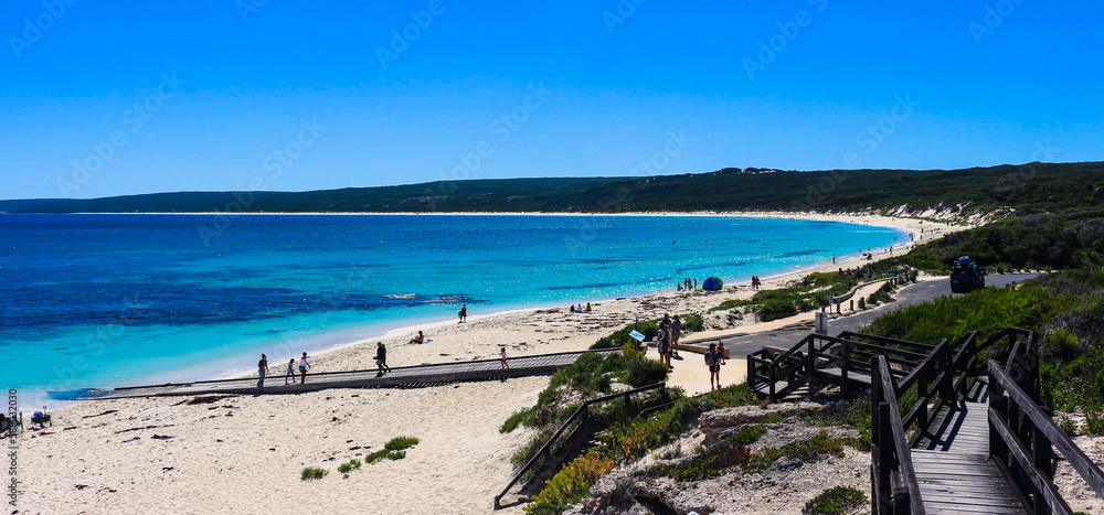 Fototapeta premium Hamlin Bay, Western Australia taken on a clear sunny day with blue skies and water with golden sand nestled in green native Bushland.