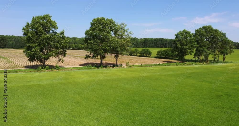 A drone flies over a green agricultural field. Beautiful summer landscape . A drone flies over a green agricultural field. Beautiful summer landscape .
