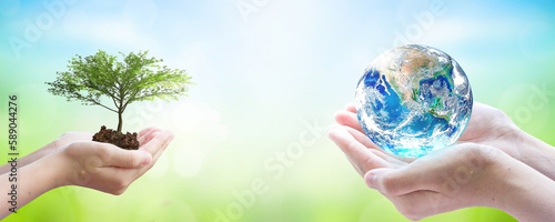 Fototapeta Naklejka Na Ścianę i Meble -   world environment and earth day, Two human hands holding big tree and earth globe over green and blue sky nature background. Elements of this image furnished by NASA