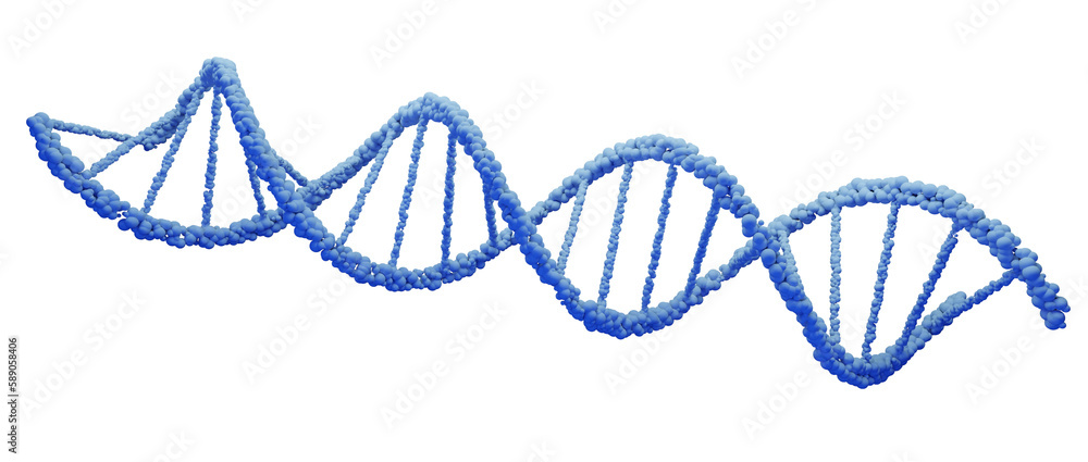 DNA Deoxyribonucleic acid, structure of double helix molecule, Polynucleotide chains, atoms, strands of human genetic structure, isolated blue 3D model