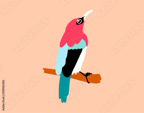 thrush nightingale bird