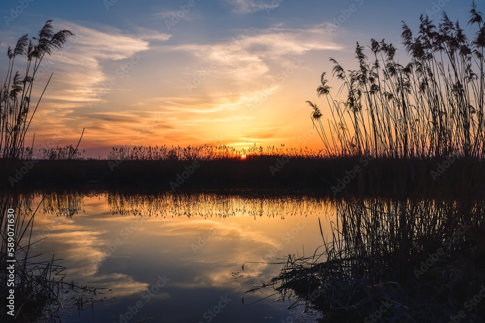 Beautiful summer evening landscape. Dry tree and grass reflecting in the river. Photo taken in Pinczow, Poland. Beautiful summer evening landscape. Dry tree and grass reflecting in the river. Photo taken in Pinczow, Poland.