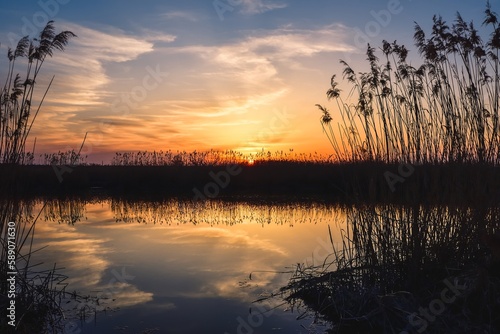 Beautiful summer evening landscape. Dry tree and grass reflecting in the river. Photo taken in Pinczow, Poland. photo