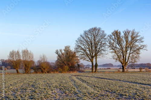 Landscape in winter