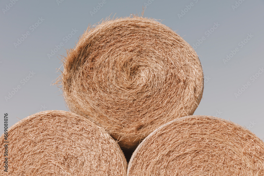Stacked wrapped round hay bales in a field after harvest. Stacked wrapped round hay bales in a field after harvest.