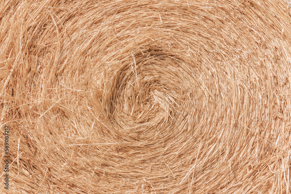 Stacked wrapped round hay bales in a field after harvest. Stacked wrapped round hay bales in a field after harvest.
