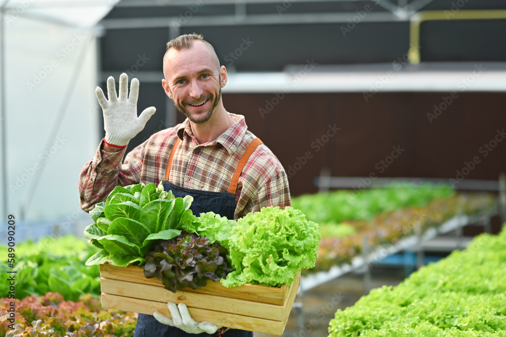 Successful small business owner holding a wooden crate with fresh organic vegetables standing in greenhouse Successful small business owner holding a wooden crate with fresh organic vegetables standing in greenhouse