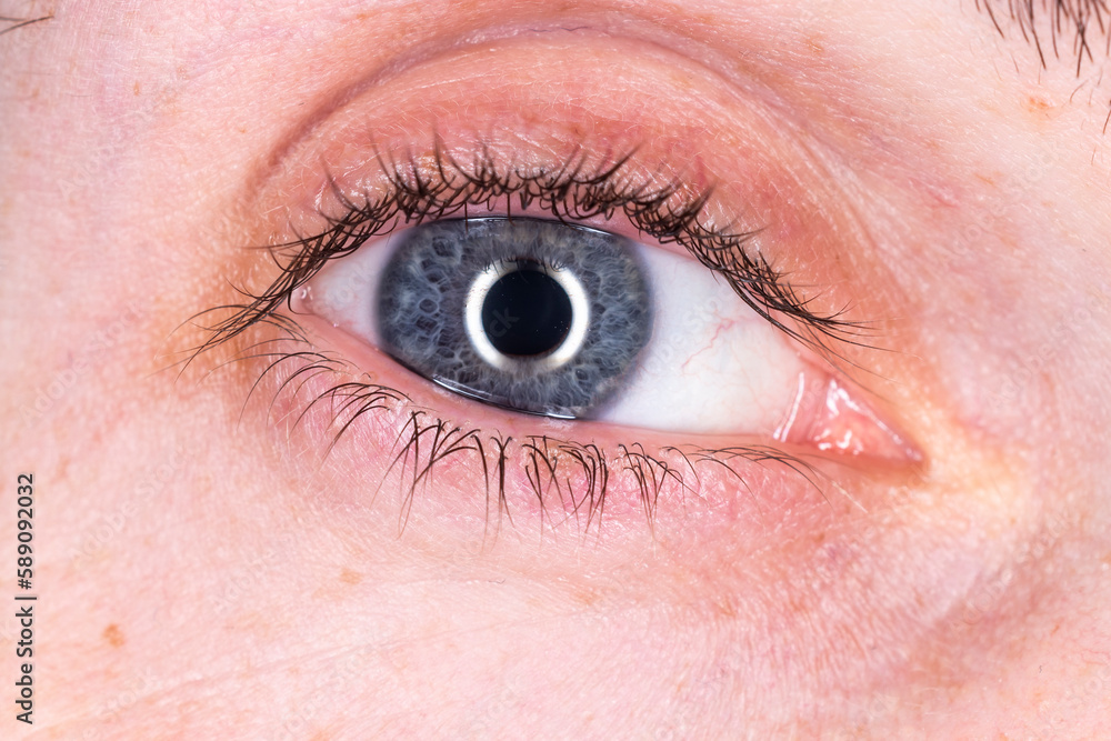 Fototapeta premium imagen detalle macro de un ojo azul iluminado con un ring flash 