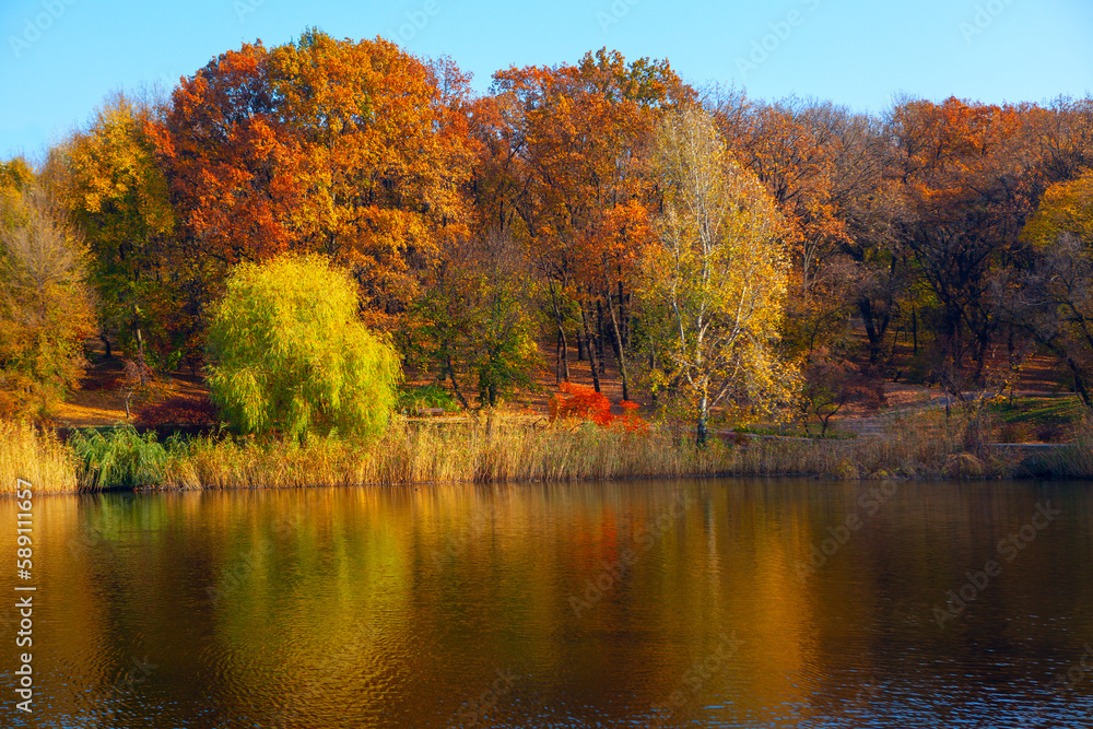 Obraz premium Autumn park and lake . Fall nature reflection in lake water
