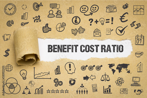 Benefit Cost Ratio 