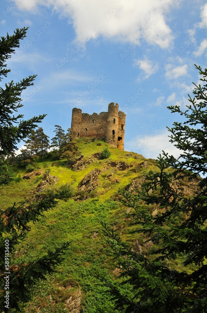 Vertical shot of the Alleuze Castle on the hill surrounded by green vegetation. France. Vertical shot of the Alleuze Castle on the hill surrounded by green vegetation. France.
