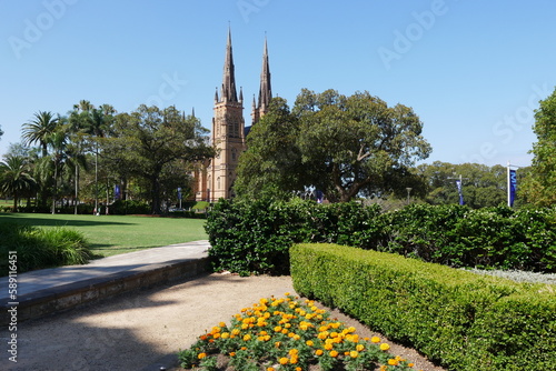 Hyde Park und St. Mary's Cathedral in Sydney photo