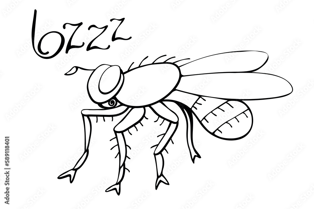 Vector black outline fly in doodle sketch style. Side view. Black and white drawing insect. Clipart, design element on theme of nature, spring, summer, isolated Vector black outline fly in doodle sketch style. Side view. Black and white drawing insect. Clipart, design element on theme of nature, spring, summer, isolated
