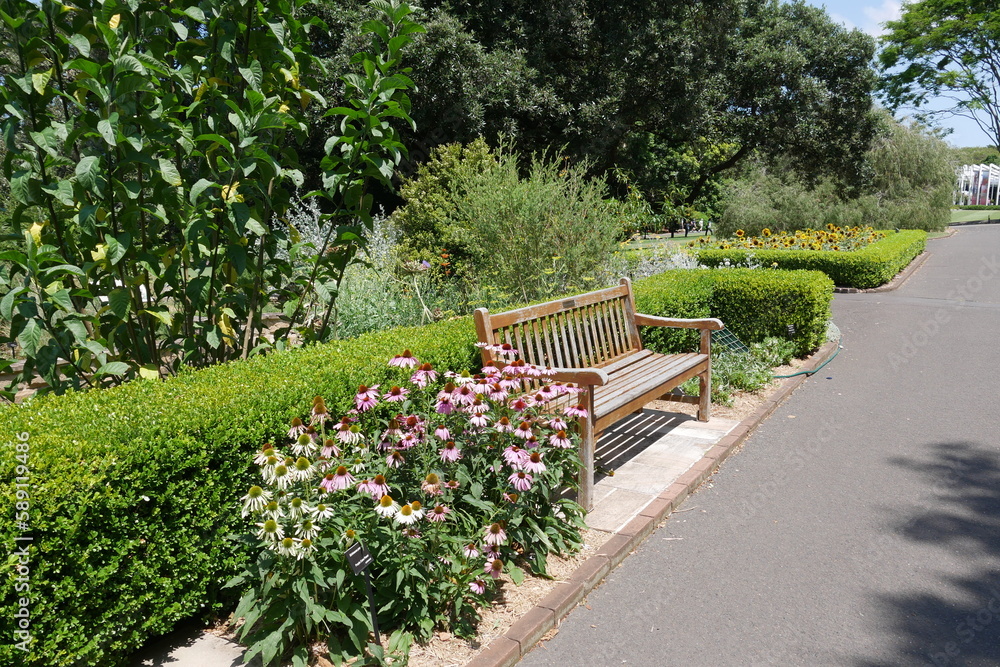 Blumen, Hecke und Parkbank im Botanischen Garten in Sydney