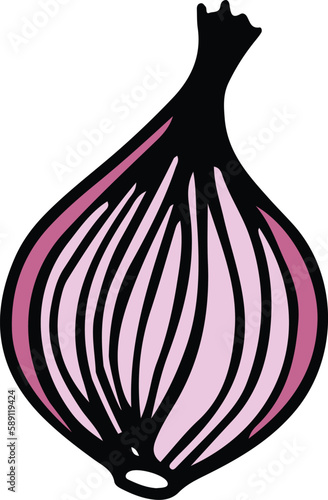 Onion drawing isolated
