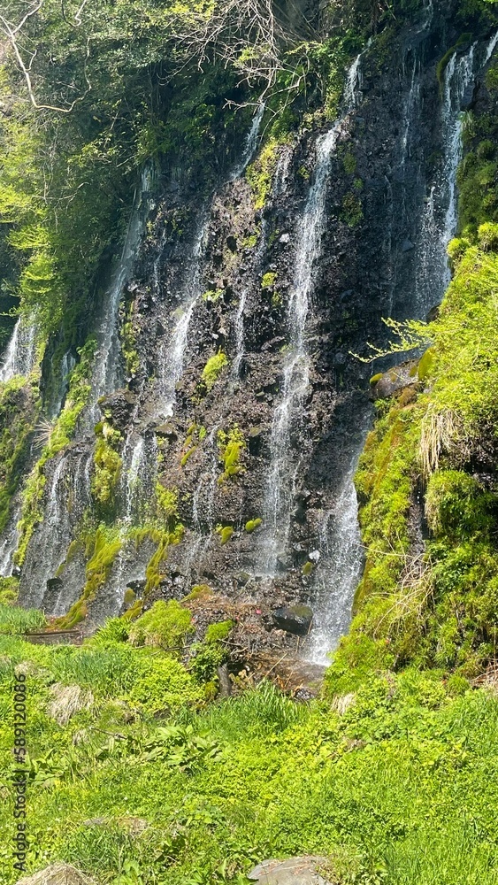 白糸の滝 白糸の滝