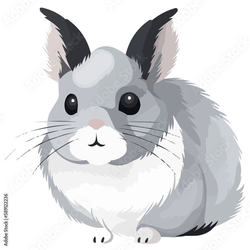 Chinchilla vector