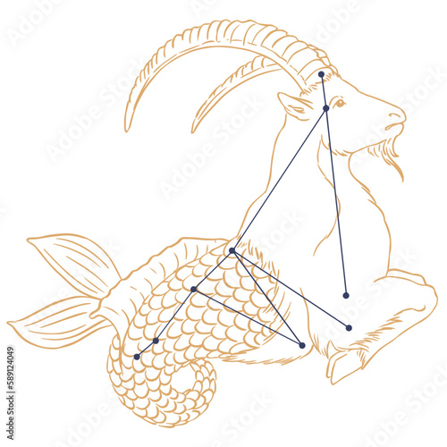 Constellation Capricorne