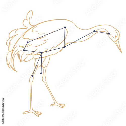 Constellation Grue
