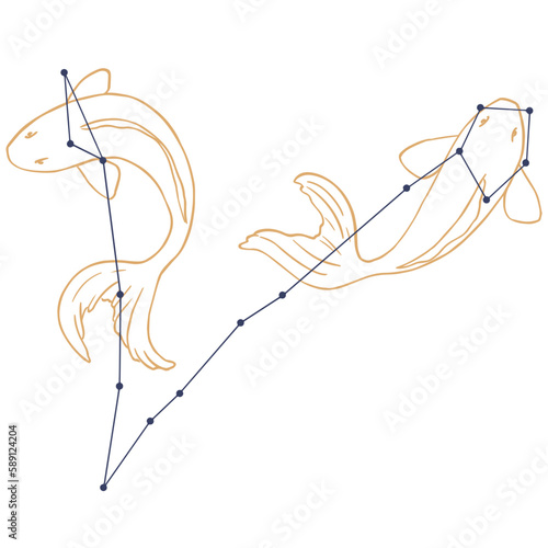 Constellation Poisson