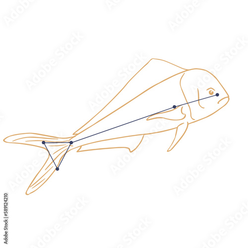 Constellation Dorade
