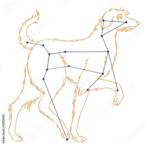 Constellation Grand Chien