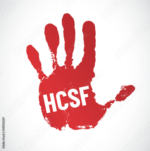 HCSF - haut conseil de stabilité financière