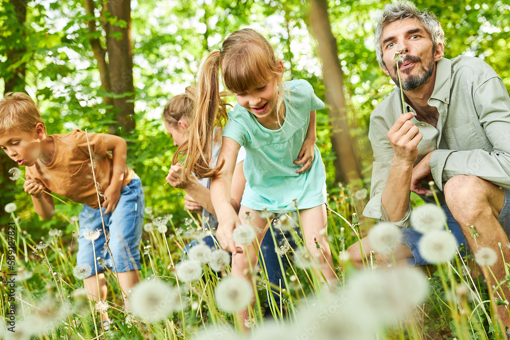 Family blowing dandelions together at forest in summer