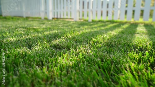 Smooth camera over a beautiful smooth green lawn, hard shadows from the setting sun. Green grass on the country lawn