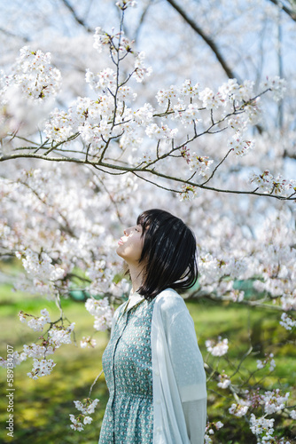 桜の木の下にいる女性