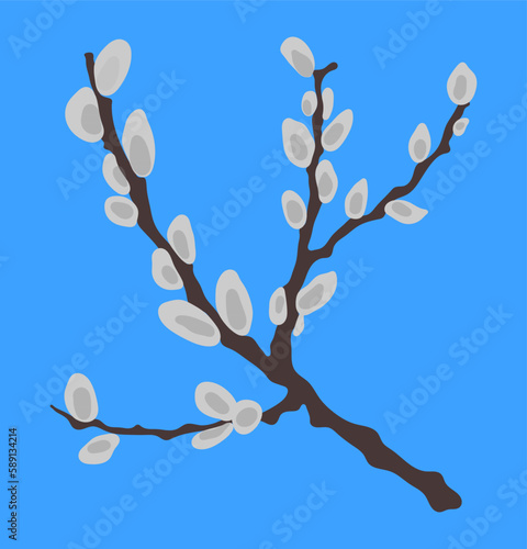 Willow kittens branches illustration on light blue background. Willow cats branches. Doodle Easter vector illustration