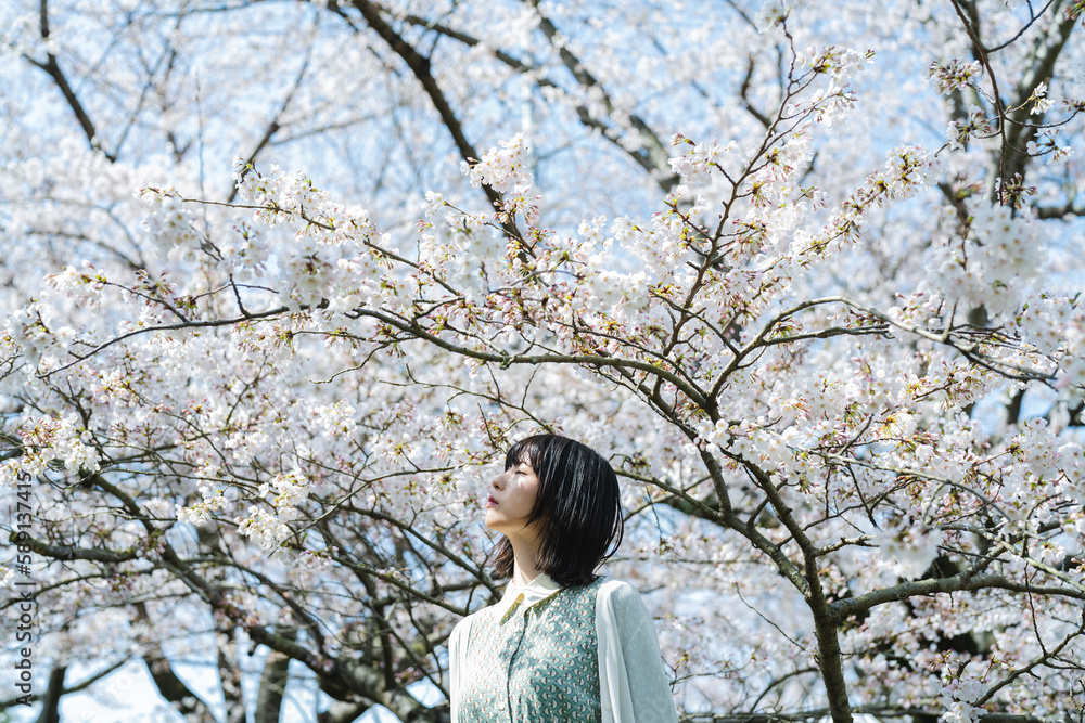 桜の木の下にいる女性 桜の木の下にいる女性