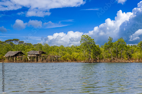 Cabane sur pilotis dans une mangrove