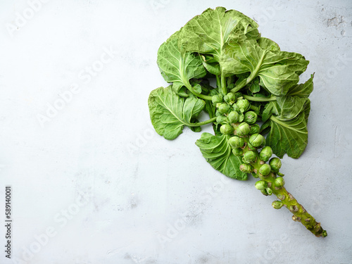 A stalk of brussel sprouts